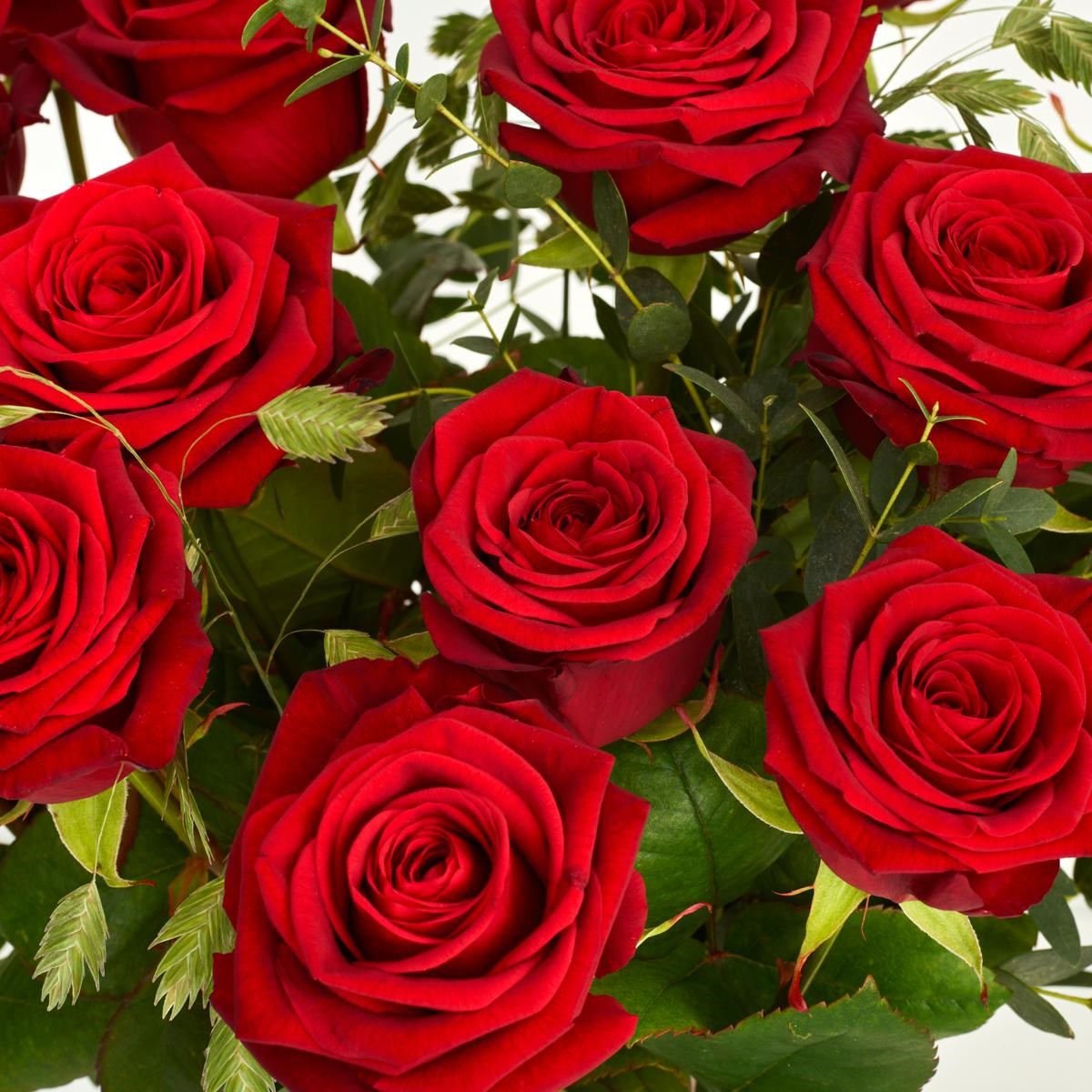 The red roses