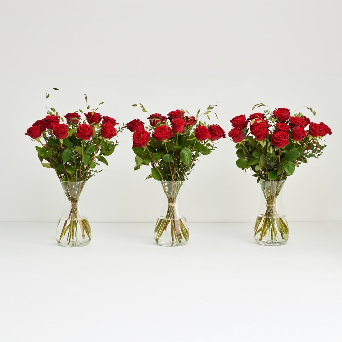 The red roses
