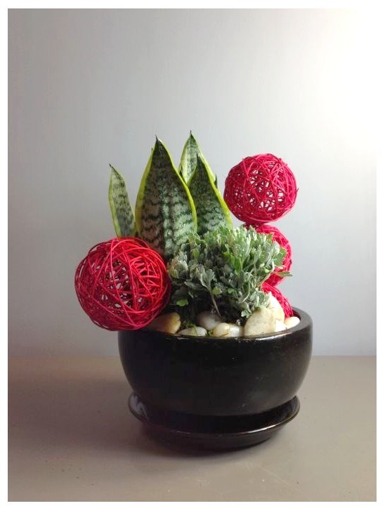product image for Arrangement of Plants