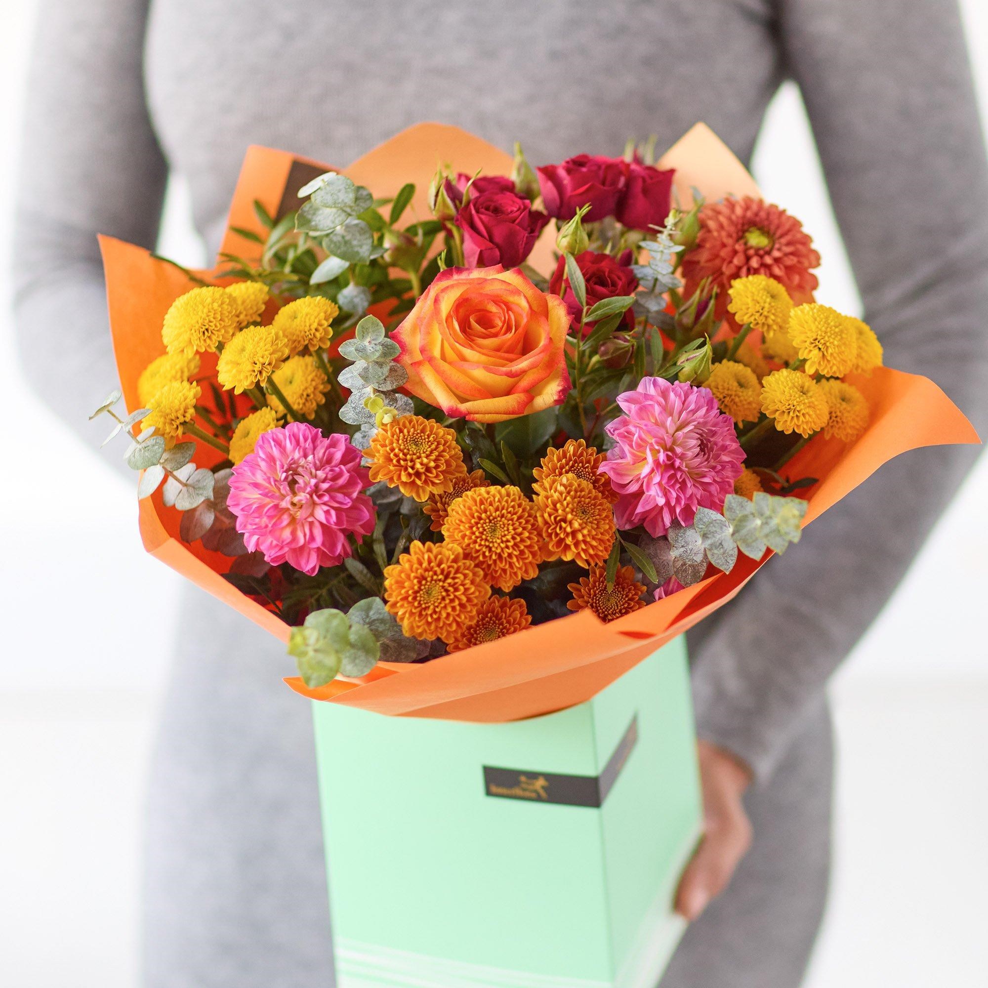 The Dahlia Delight