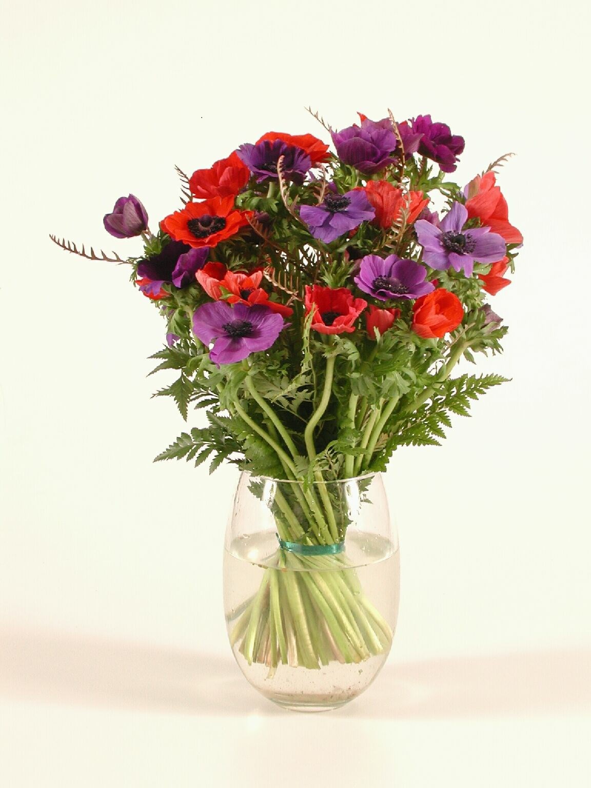 product image for Anemone coronarias bouq