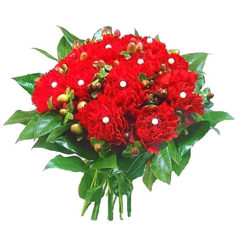 product image for Flowers- carnations.