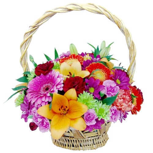 product image for Congratualtions flowers