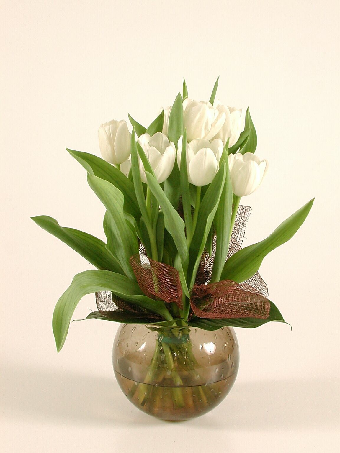 white tulips bouq