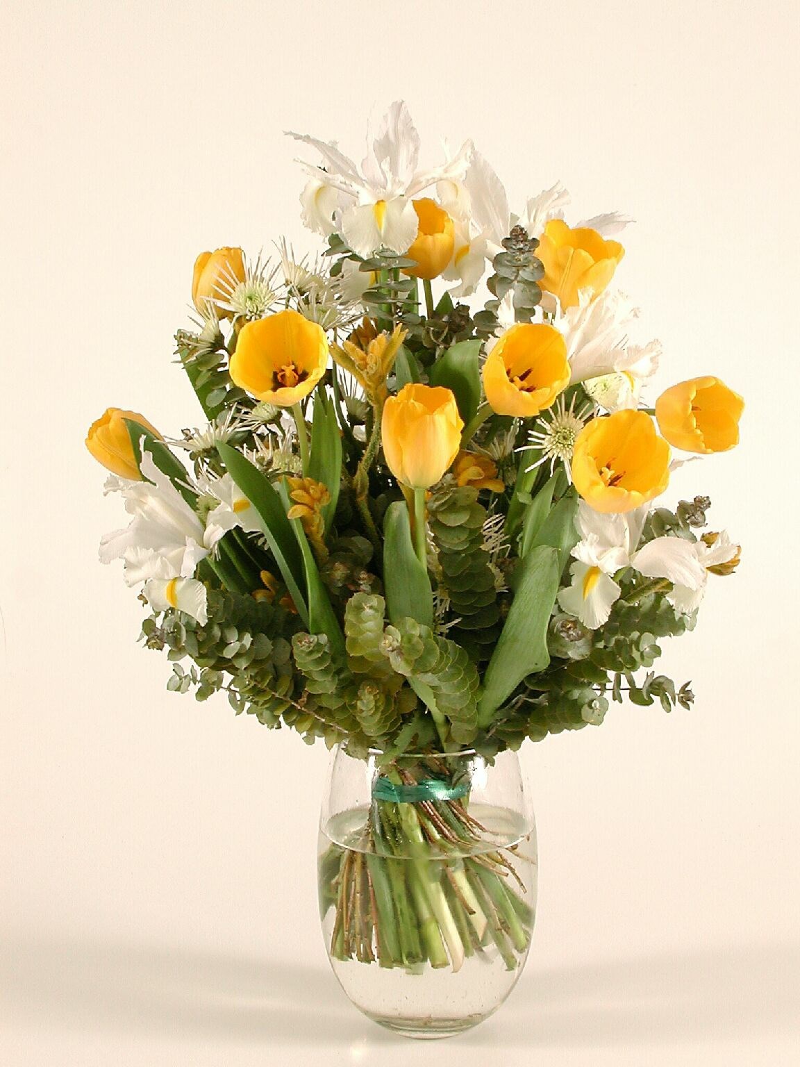 product image for tulips and iris bouq
