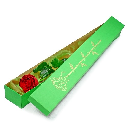 product image for Elegant rose in a box
