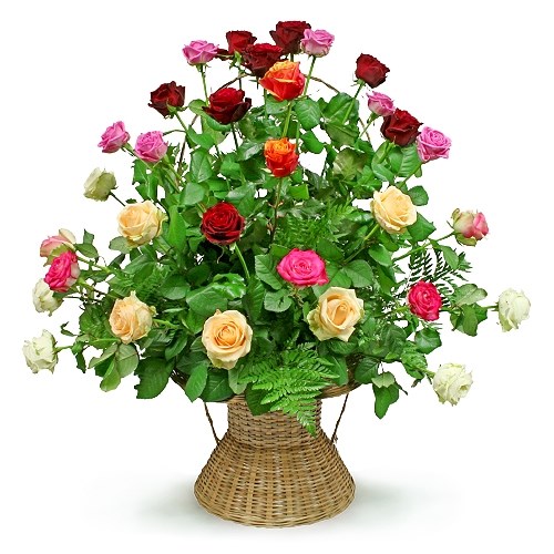product image for Colourful basket composition