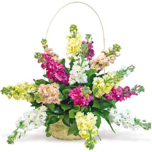 product image for Composition with gillyflowers