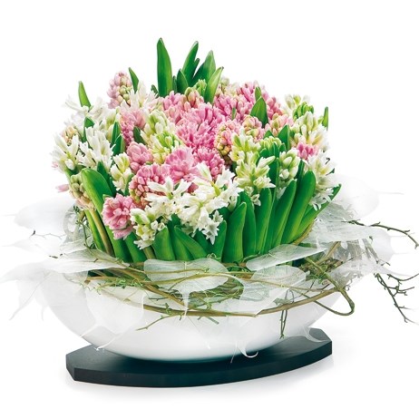 product image for Hyacinths composition