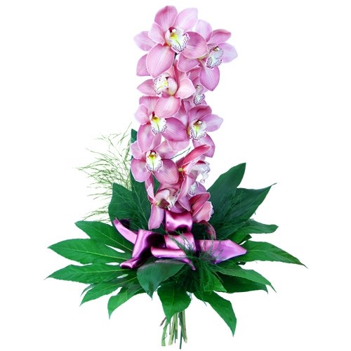 Orchid- elegance and finess.