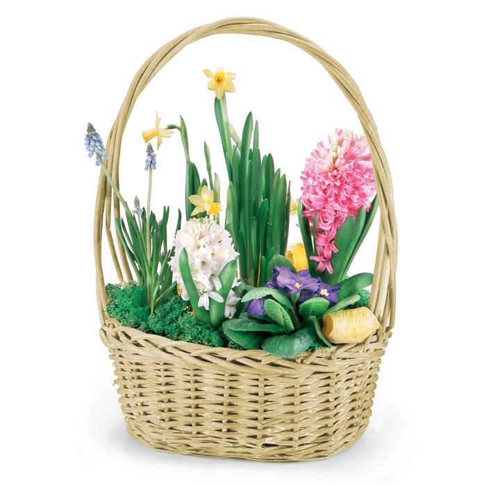 product image for Spring composition
