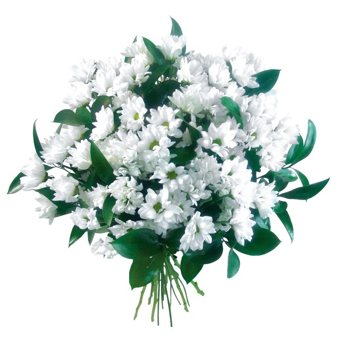 product image for Condolences flowers