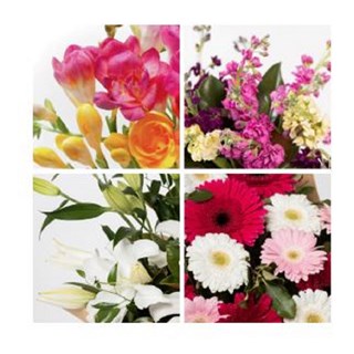 Arrangement of Cut Flowers