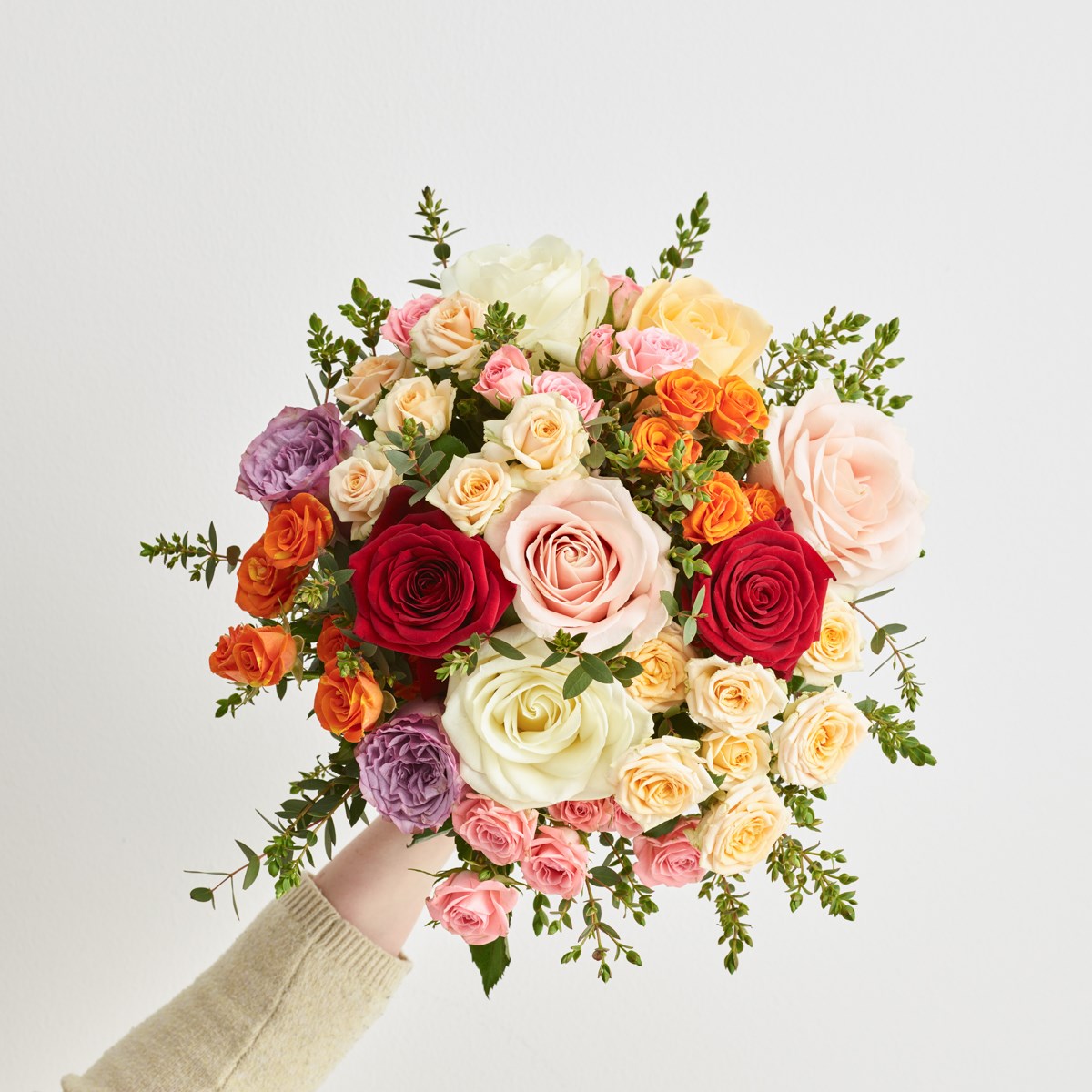 The colorful roses