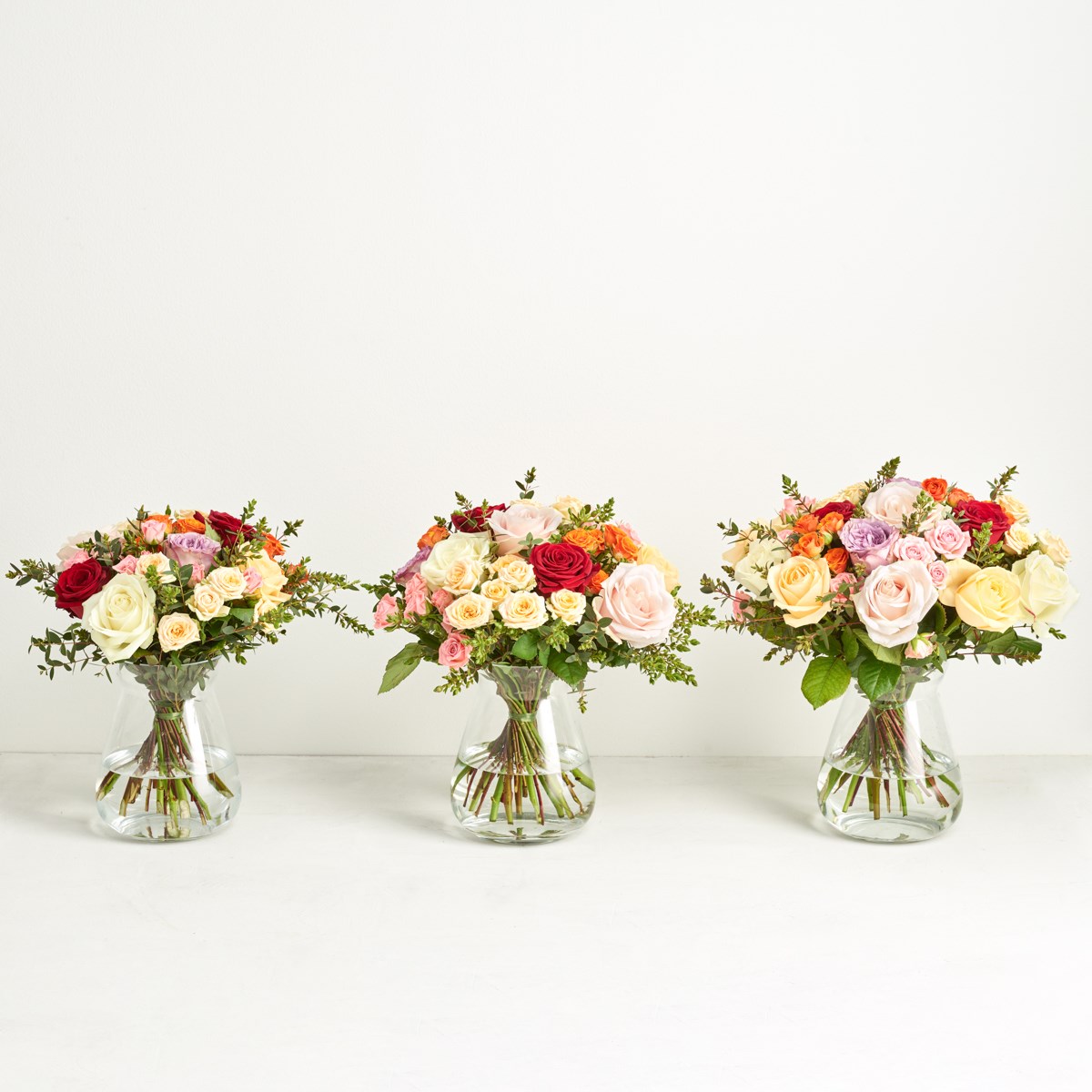 The colorful roses