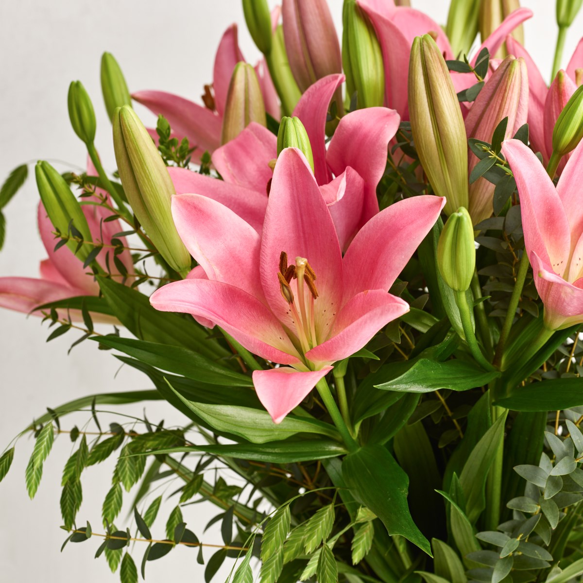 The Pink Lillies