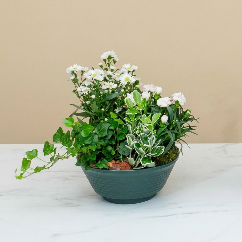 product image for Candid Rest, C0176IT