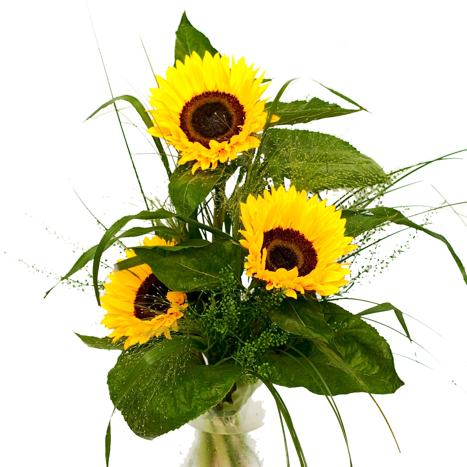 product image for Have a sunny day